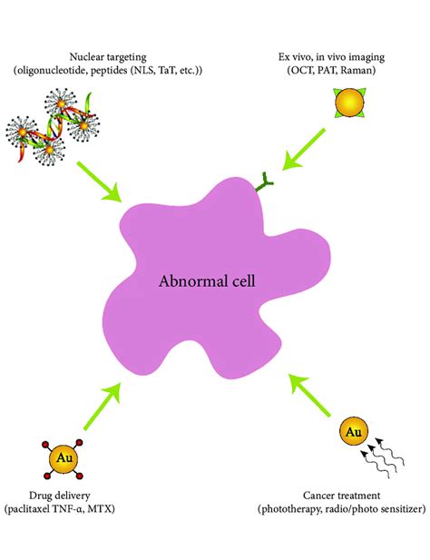 Biomedical applications of gold nanoparticles. This figure inspired by ...