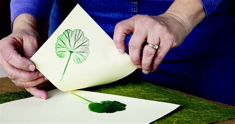 Hand-Printing from Nature: Printing with Ink Pads and Felt Markers – Mother Earth News