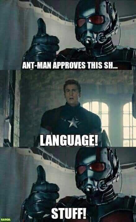 Ant Man and Avengers tumblr | Universo Marvel | Funny marvel memes, Marvel memes, Marvel jokes