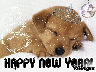 ...dog=happy new year... Picture #79642882 | Blingee.com