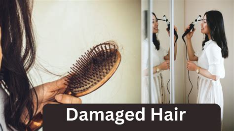 Hair:5 Indications Of Damaged Hair, How To Avoid Hair Damage And ...