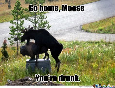 Moose Quotes. QuotesGram