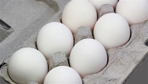 Authorities say new Salmonella outbreak likely because of eggs | Food ...