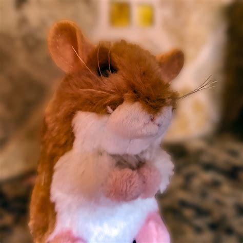 Toy Stuffed Hamster Free Stock Photo - Public Domain Pictures