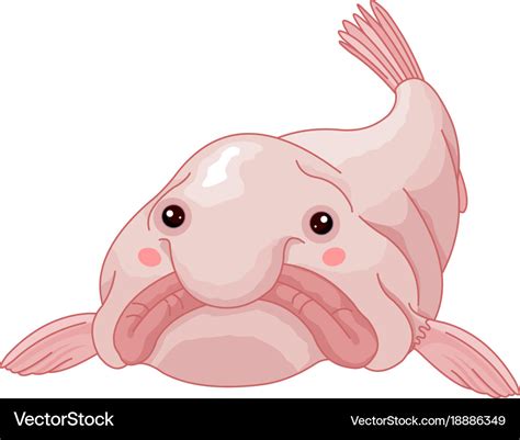 Blob fish Royalty Free Vector Image - VectorStock