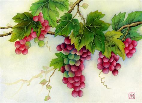 Grapes Painting by Hailey E Herrera - Pixels