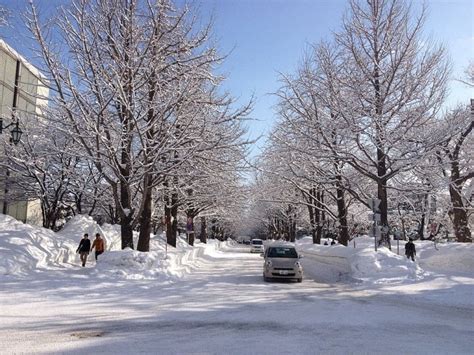 9 Days in Hokkaido Winter Itinerary | Dec-Jan | Kyuhoshi