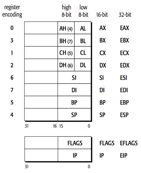 Assembly (i386, x86_64)