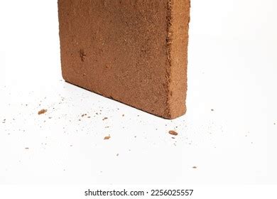 156 Coconut Coir Brick Royalty-Free Photos and Stock Images | Shutterstock