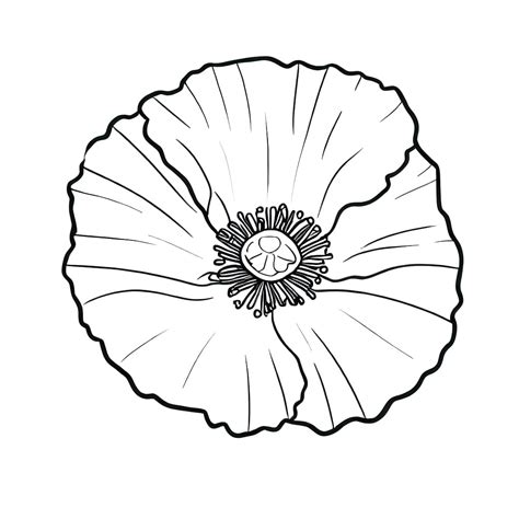 Simple Poppy Flower coloring page - Download, Print or Color Online for ...