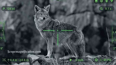 Top 5 Night Vision Scope for Coyote Hunting Review 2023