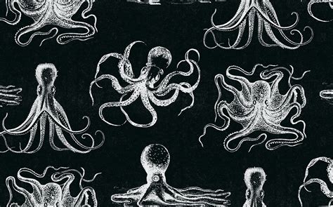 Vintage Octopus white on Black Removable Wallpaper - Etsy