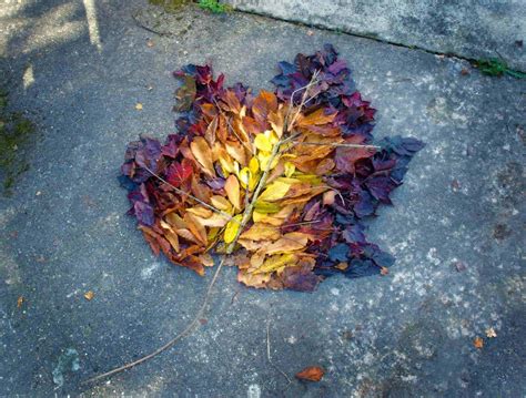 Art From Andy Goldsworthy