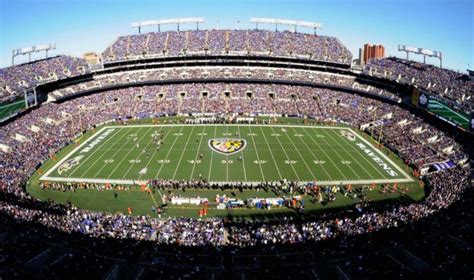 Baltimore Ravens - Stadium Dude