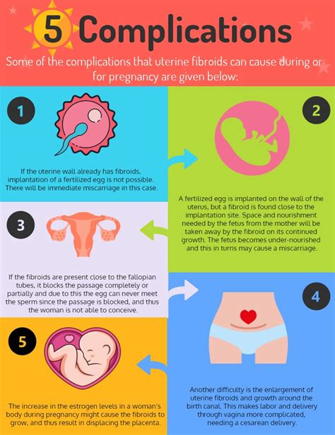 Uterine Fibroid Size Chart