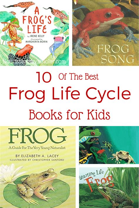 10 of the Best Frog Life Cycle Books for Kids - Nourishing My Scholar