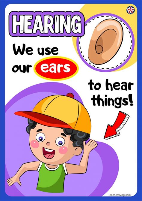 Free Downloadable Senses Poster Set. TeachersMag.com