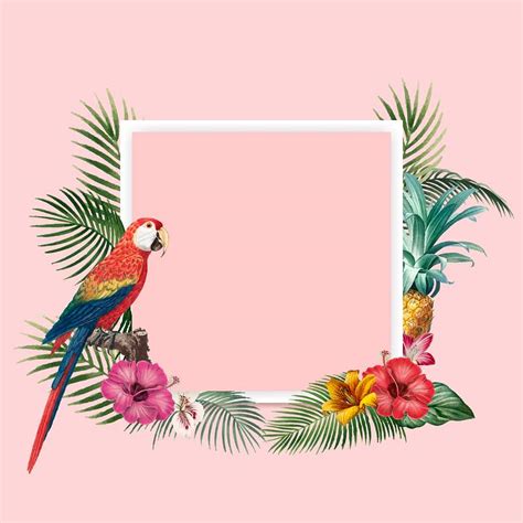 Tropical Images | Free Photos, PNG Stickers, Wallpapers & Backgrounds - rawpixel