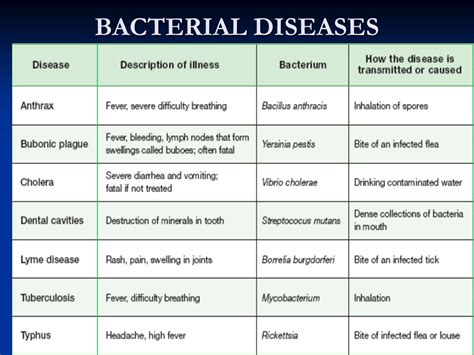 Diseases Caused By Bacteria