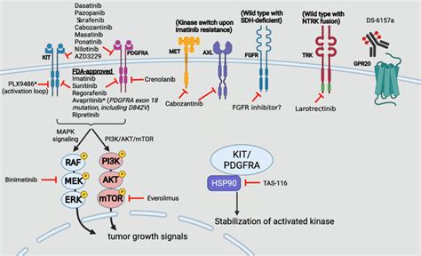 Mechanisms of actions of approved TKI and selected investigational ...