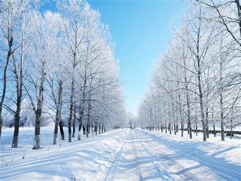 Snow in Winter - snow Photo (36241624) - Fanpop