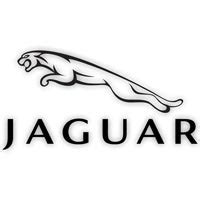 Jaguar Touch Up Paint | Jaguar Colors | Guide 2024 - ERA Paints