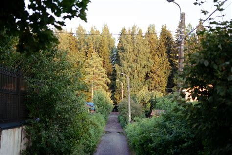 Trail in Park · Free Stock Photo