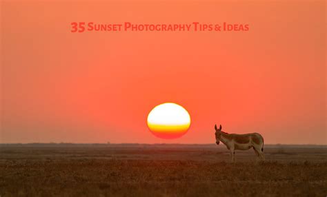 35 Best Sunset Photography Tips and Ideas - PhotographyAxis