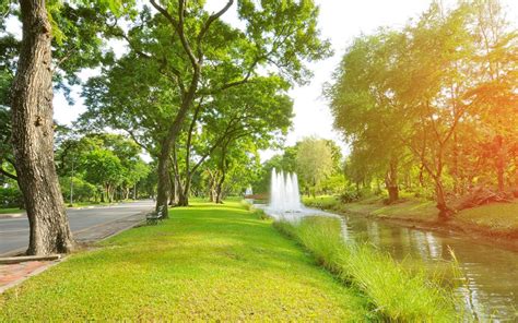 The Importance of Green Spaces in Cities | Zameen Blog