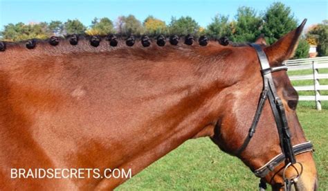 Expert Tips on How to Create the 3 Easiest Mane Braids - Horse Rookie