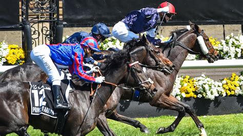 Melbourne Cup 2021 form guide: Favourite horses, tips and who will win ...