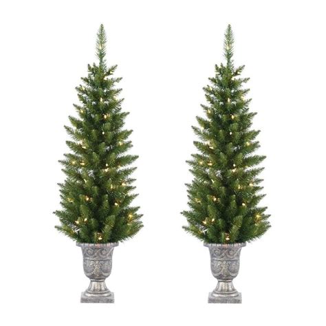 Northlight Set of 2 4-ft Potted Christmas Trees at Lowes.com