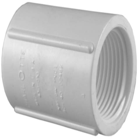 Charlotte Pipe 3/4 in. PVC Sch. 40 FPT x FPT Coupling-PVC021020800HD ...