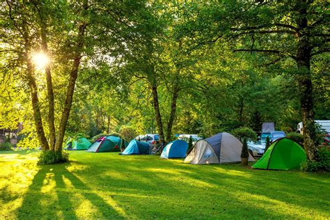 New Forest National Park Authority agrees rules to control pop-up campsites