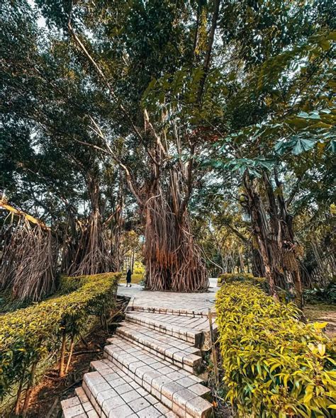 KLCC Park: Let's Take A Look Into This Beautiful Garden!