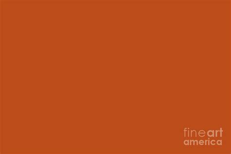 Colors of Autumn Terracotta Orange Brown Solid Color Digital Art by ...