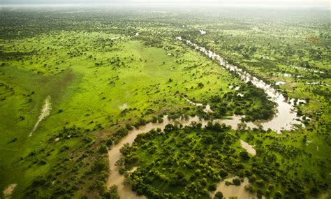 Celebrating Zakouma National Park - Africa Geographic