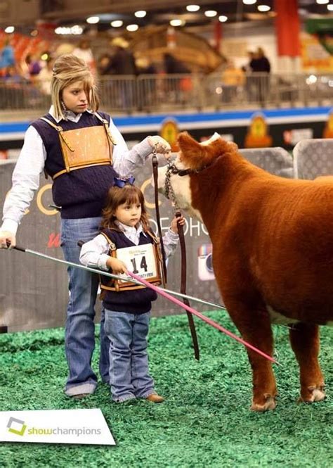 Teamwork done right! #showchamps | Showing livestock, Show cattle, Farm kids