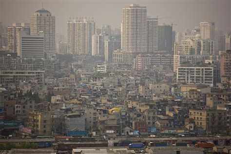 Shanghai urban farming | WWF