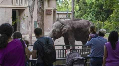 Lucknow zoo set to reopen, no kids below 10 years allowed - Hindustan Times