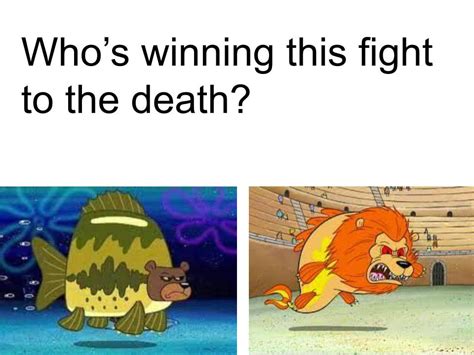 Who's winning, a Sea Bear or a Sea Lion? : r/spongebob