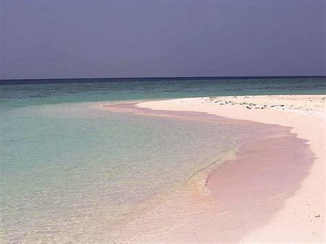 Dahlak Archipelago National Park (Dahlak Islands) - All You Need to ...