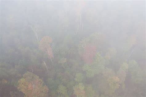 Autumn Aerial with Fall Colors in Allegheny National Forest Stock Photo - Image of park, mist ...