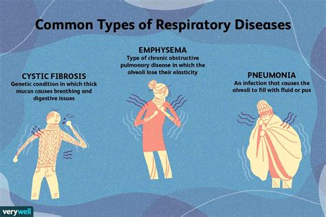 Identify The Different Types Of Respiratory System In Animals - Design Talk