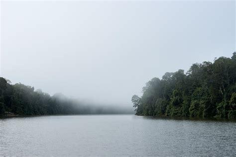 Manú National Park – Nico Kaiser