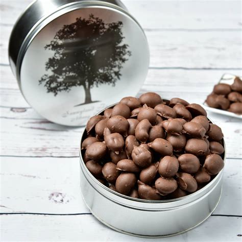 Milk Chocolate Covered Pecans - Sunnyland Farms