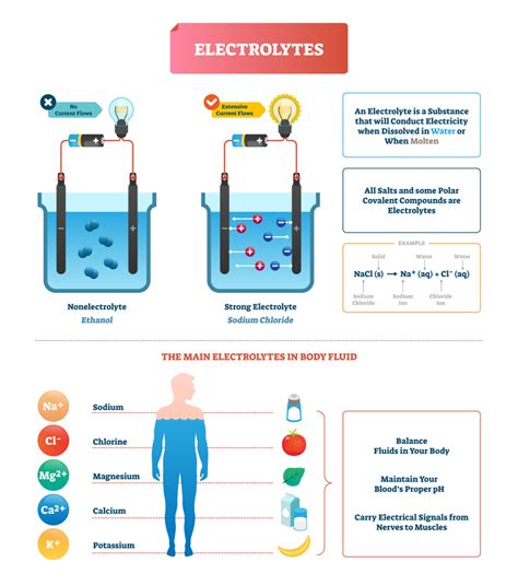 Why does severe dehydration lead to fatigue?