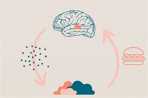 Leptin and Pregnancy: Research Review - Pregmune