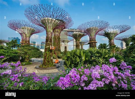 Singapore marina bay garden bay hi-res stock photography and images - Alamy