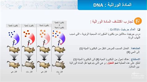 المادة الوراثية DNA - YouTube